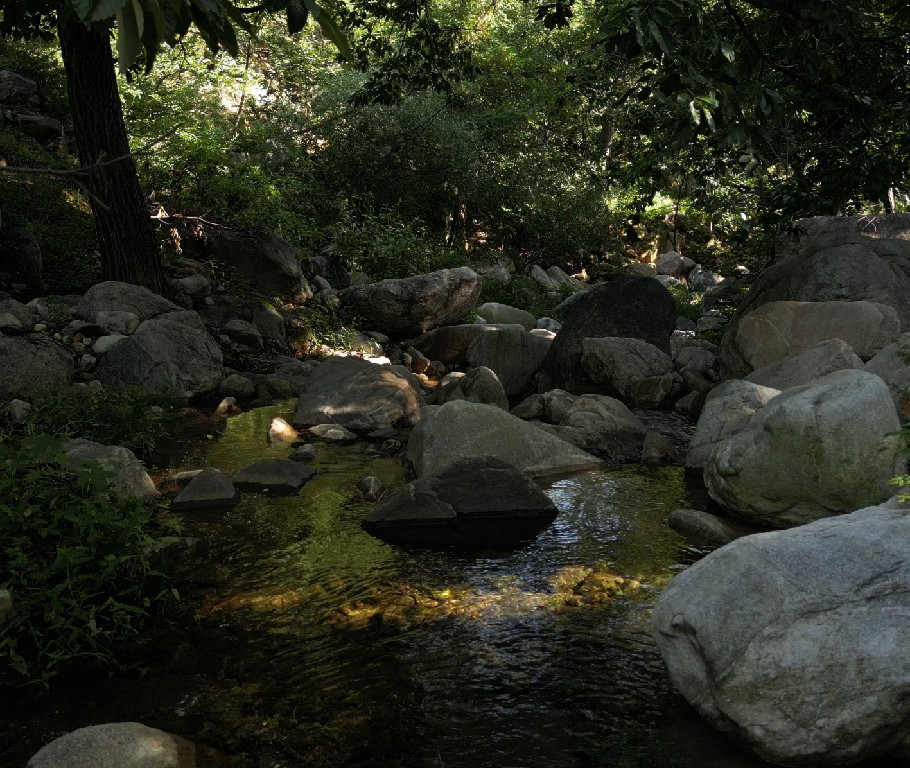 蒙山山区果园风光